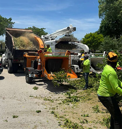 Stump Grinding